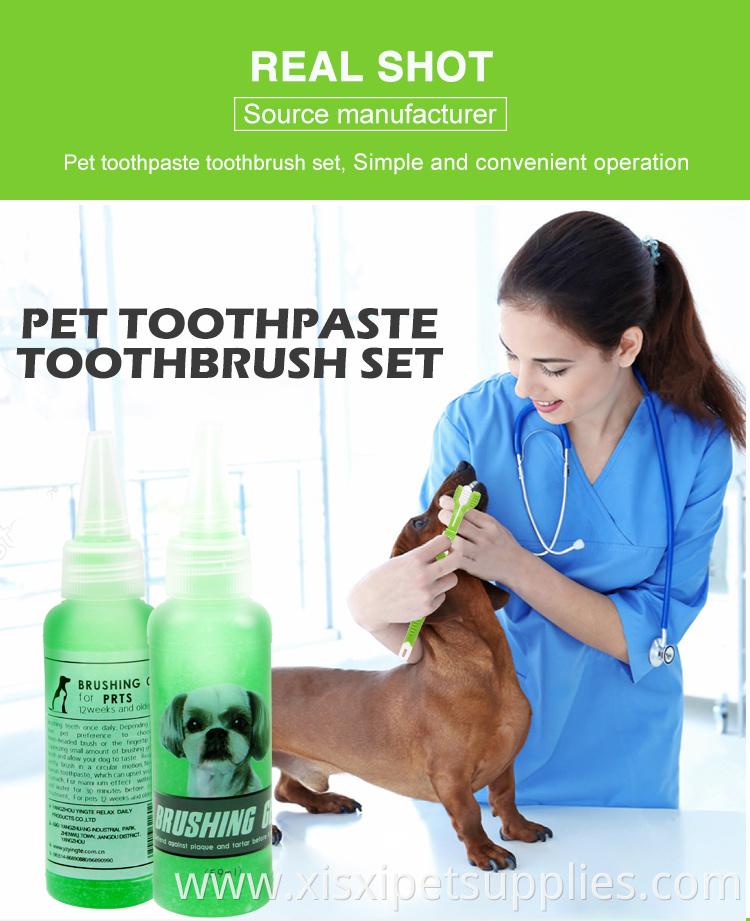 Factory Wholesale LOW MOQ Pet Cat Dog Toothbrush And Toothpaste Set